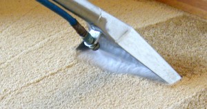 wet-extraction-carpet-cleaning